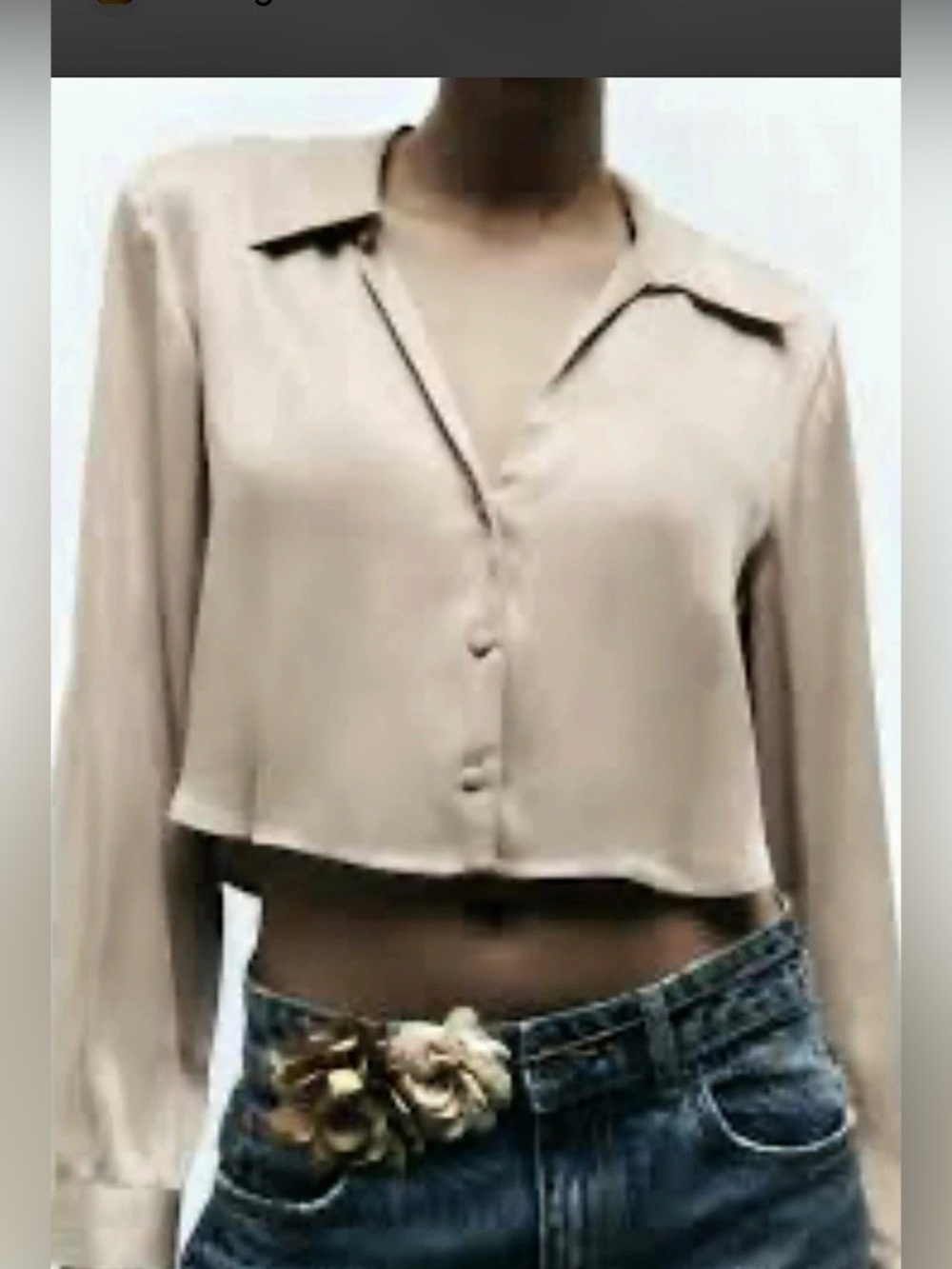 Zara Cropped Button Front Jacket in Brown Size Medium